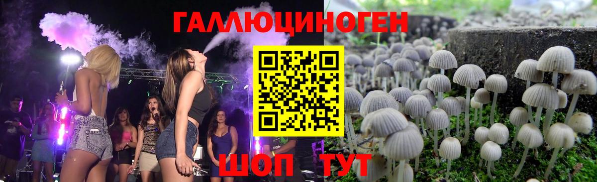 Галлюциногенные грибы MAGIC MUSHROOMS  Галлюциногенные грибы MAGIC MUSHROOMS  Вход с VPN  Кимры 